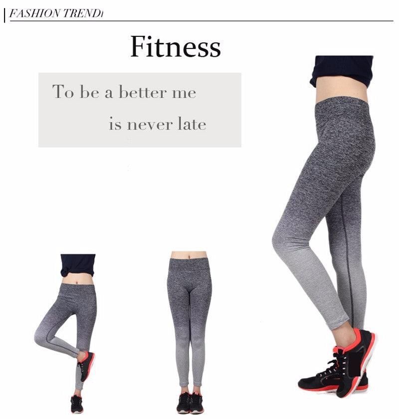 Women Slim Sport Leggings High Elastic Comfortable Workout Pants - lionhuntshop