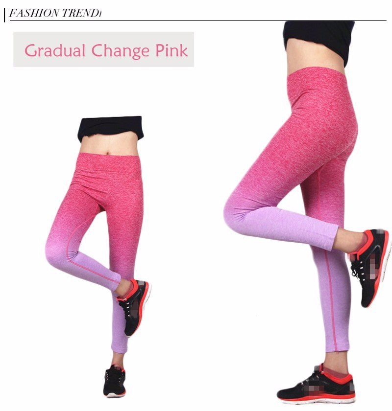 Women Slim Sport Leggings High Elastic Comfortable Workout Pants - lionhuntshop