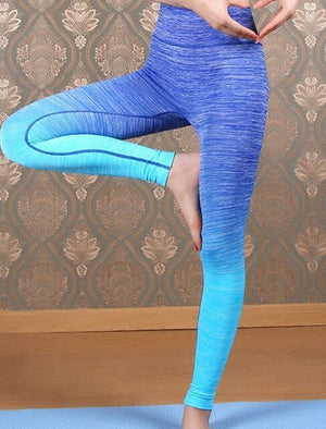 Women Slim Sport Leggings High Elastic Comfortable Workout Pants - lionhuntshop